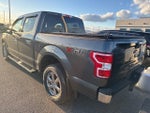 2020 F-150 Thumbnail 8