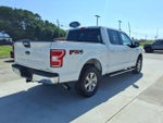 2020 F-150 Thumbnail 5