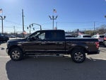 2020 F-150 Thumbnail 9