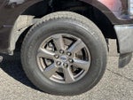2020 F-150 Thumbnail 10