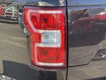 2020 F-150 Thumbnail 12