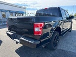 2020 F-150 Thumbnail 5