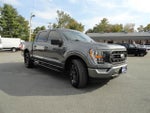 2021 F-150 Thumbnail 3