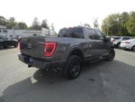 2021 F-150 Thumbnail 5
