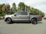 2021 F-150 Thumbnail 8