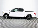 2021 F-150 Thumbnail 4