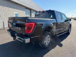 2021 F-150 Thumbnail 6