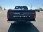 2021 F-150 Thumbnail 7