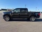2021 F-150 Thumbnail 9