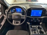 2021 F-150 Thumbnail 11