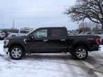2021 F-150 Thumbnail 3