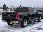 2021 F-150 Thumbnail 6