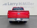 2021 F-150 Thumbnail 5