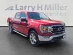2021 F-150 Thumbnail 8