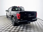 2021 F-150 Thumbnail 5