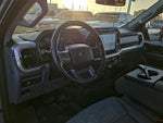 2021 F-150 Thumbnail 11