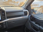 2021 F-150 Thumbnail 15
