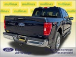 2022 F-150 Thumbnail 4