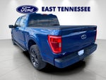 2022 F-150 Thumbnail 4