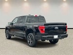 2022 F-150 Thumbnail 4