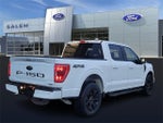 2022 F-150 Thumbnail 3