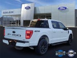 2022 F-150 Thumbnail 3