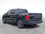 2022 F-150 Thumbnail 4
