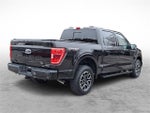 2022 F-150 Thumbnail 6