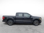 2022 F-150 Thumbnail 7