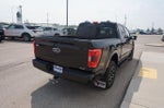 2022 F-150 Thumbnail 5