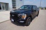 2022 F-150 Thumbnail 8