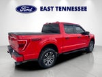 2022 F-150 Thumbnail 3