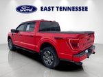 2022 F-150 Thumbnail 5