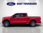 2022 F-150 Thumbnail 6