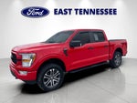2022 F-150 Thumbnail 7