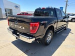 2022 F-150 Thumbnail 4