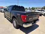 2022 F-150 Thumbnail 7