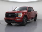2022 F-150 Thumbnail 4