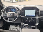 2023 F-150 Thumbnail 11