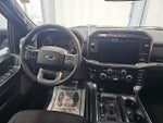 2023 F-150 Thumbnail 14