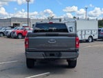 2023 F-150 Thumbnail 4