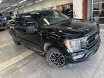 2023 F-150 Thumbnail 11