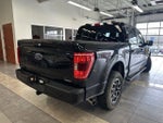 2023 F-150 Thumbnail 13