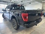 2023 F-150 Thumbnail 15