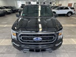 2023 F-150 Thumbnail 22
