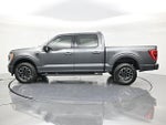 2023 F-150 Thumbnail 8