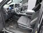 2023 F-150 Thumbnail 11