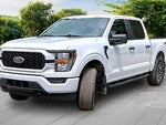 2023 F-150 Thumbnail 11