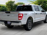 2023 F-150 Thumbnail 12