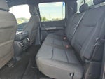 2023 F-150 Thumbnail 12